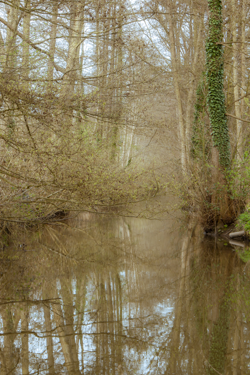 Au fil d'un cours d'eau dont j'ai oublié le nom, au coeur du département de l'Essonne.