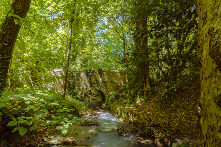 Un ruisseau dans sous les arbres de la forêt de Géménos.