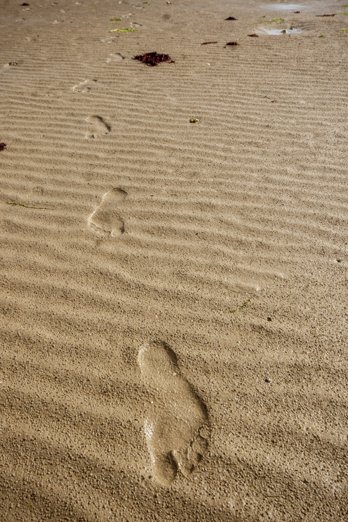Des traces de mes pieds dans le sable mouill�.