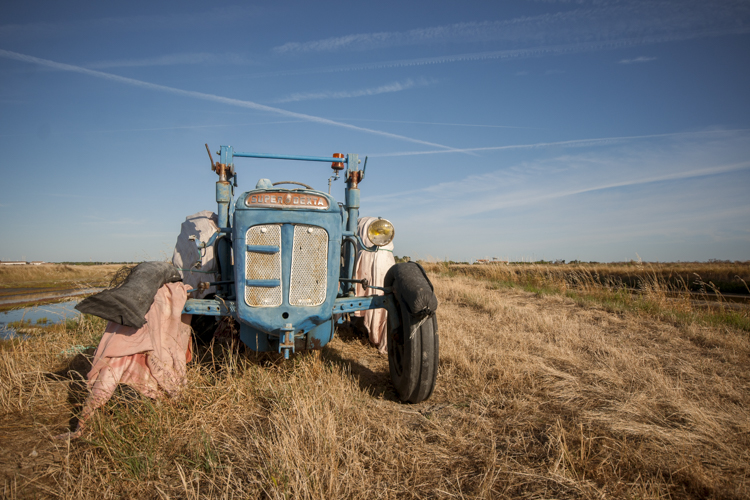 Un vieux tracteur dans un champs.