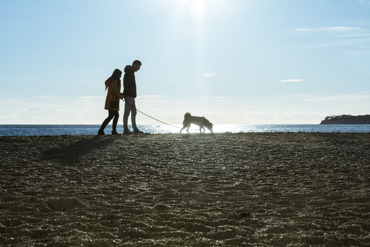 Un couple promène leur chien sur la plage de Cassis.